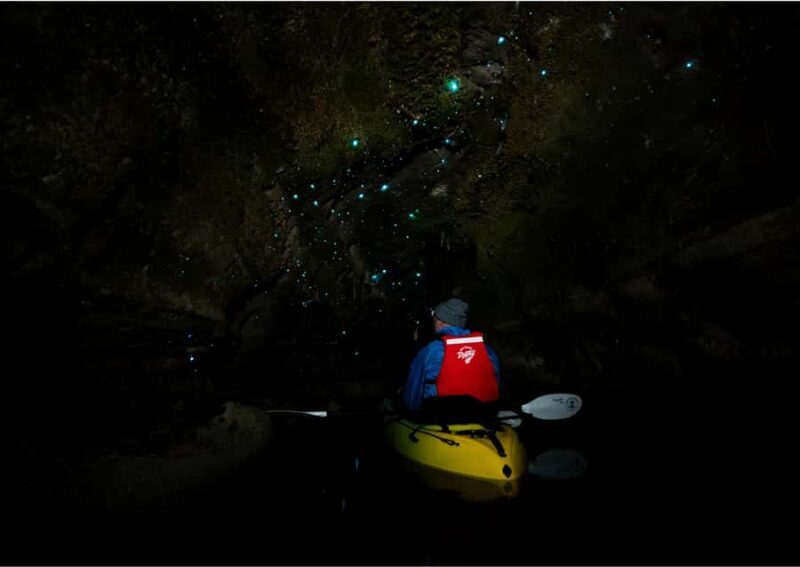 Rotorua: Glow Worm Kayak Tour - Why This Tour Stands Out
