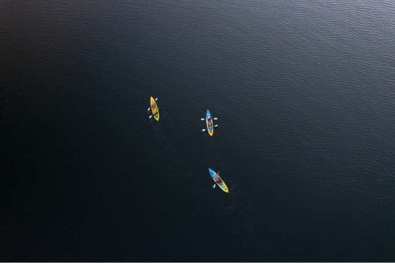 Rotorua: Glow Worm Kayak Tour - Frequently Asked Questions