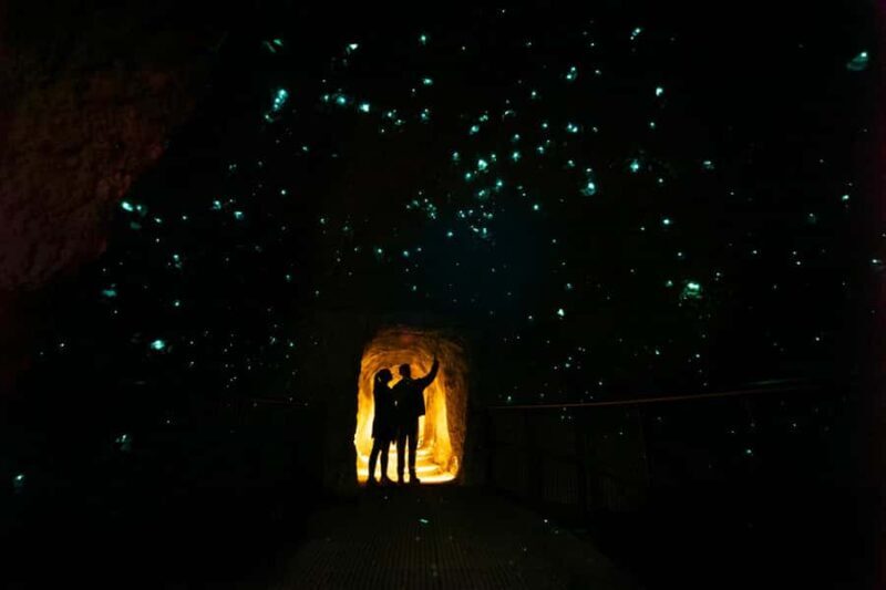 Rotorua: Glowworm Cave, Redwoods Forest & Te Puia Tour - Exploring the Itinerary: What You Can Expect