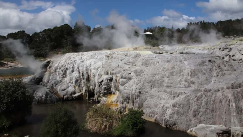 Rotorua: Glowworm Cave, Redwoods Forest & Te Puia Tour - Final Thoughts: Who Will Love This Tour?