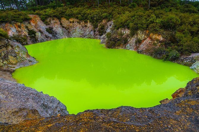 Rotorua Highlights inc. Waiotapu & Te Puia Day Tour from Auckland - FAQ