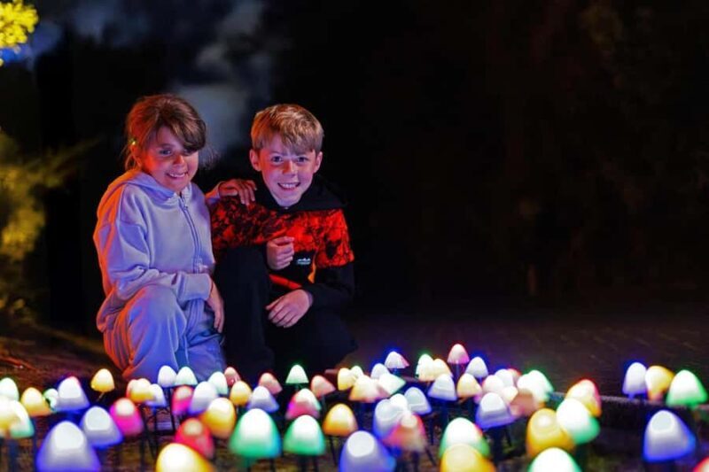 Rotorua: Marama Geyser Light Trail & Geothermal Experience - Detailed Breakdown of the Experience