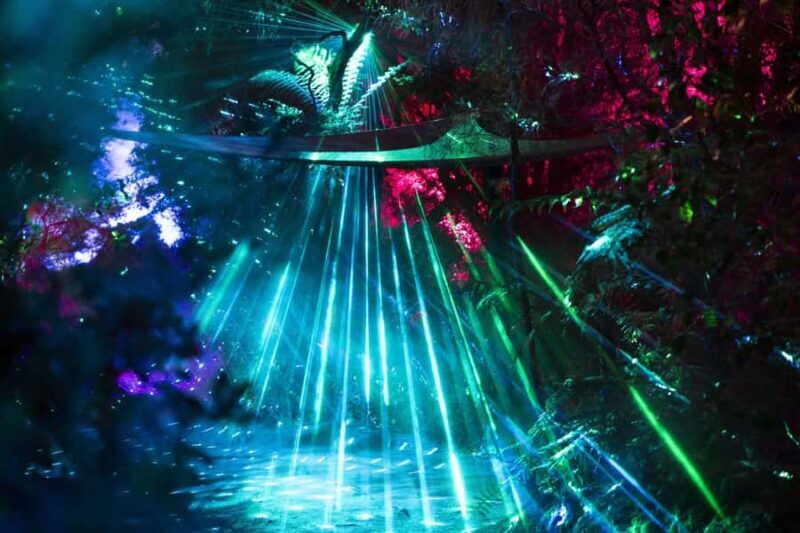 Rotorua: Marama Geyser Light Trail & Geothermal Experience - The Sum Up