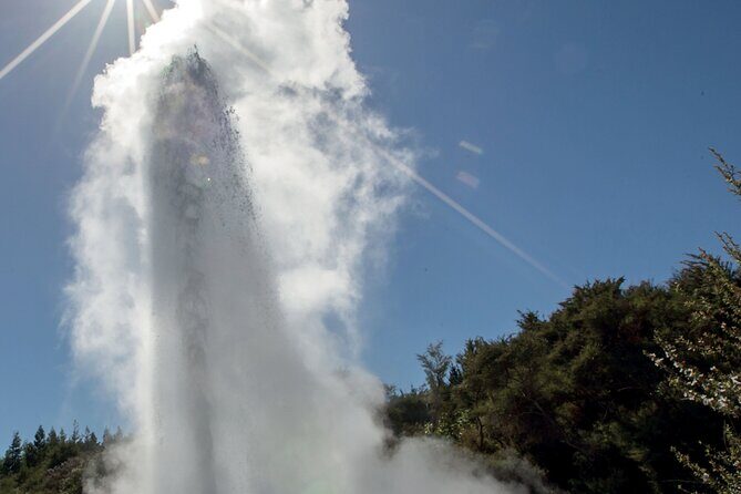 Rotorua Mori Village and Activity Combinations from Auckland - From Auckland to Rotorua: The Scenic Drive