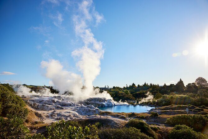 Rotorua Mori Village and Activity Combinations from Auckland - Returning to Auckland
