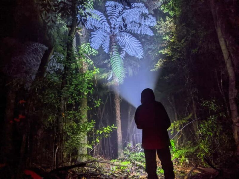 Rotorua: Nocturnal Glow-Worm Adventure Tour with a Guide - Final Thoughts