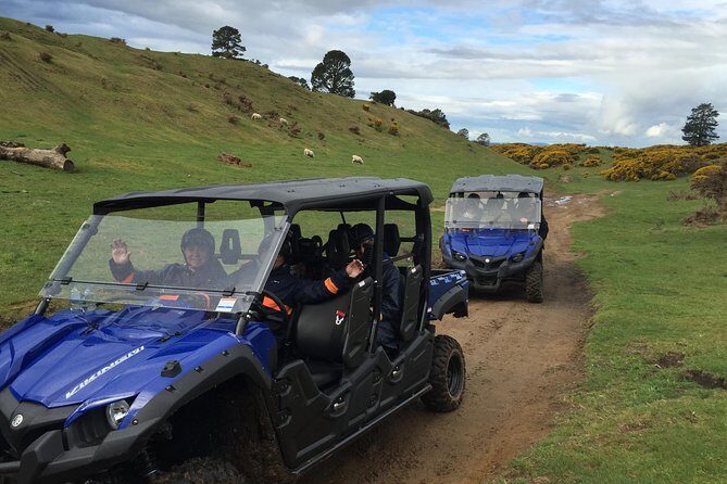 Rotorua Off-Road 4WD Buggy Adventure - The Sum Up