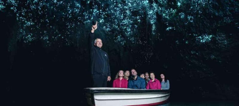 Rotorua: One-Way Trip to Auckland via Hobbiton & Waitomo - A Closer Look at the Itinerary and Experience