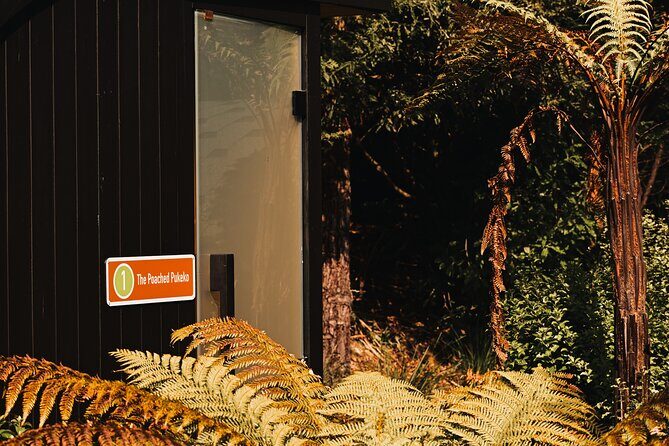 Rotorua Private Sauna Experience - Practical Tips for Making the Most of Your Visit