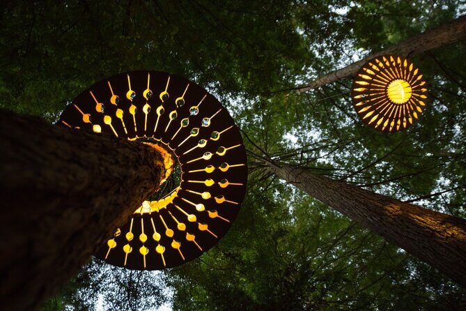 Rotorua: Redwoods Adventure 3-Hours - What’s Included and What’s Not