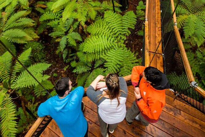 Rotorua: Redwoods Adventure 3-Hours - Final Thoughts