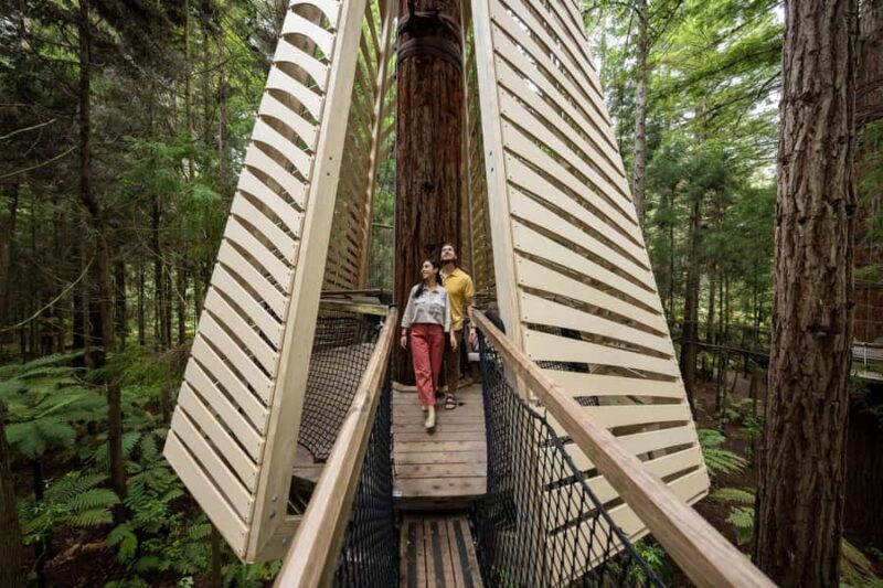 Rotorua: Redwoods Altitude, Nighttime Fast Pass, & Treewalk - A Deep Dive into Rotorua’s Redwoods Experience