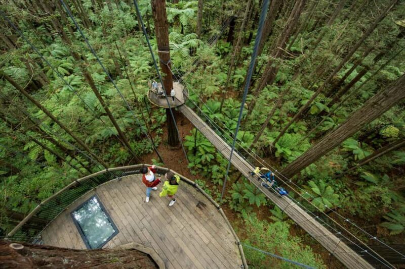 Rotorua: Redwoods Altitude, Nighttime Fast Pass, & Treewalk - Frequently Asked Questions
