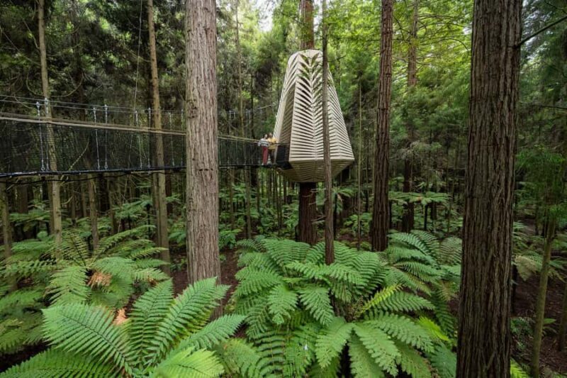 Rotorua: Redwoods Altitude, Nighttime Fast Pass, & Treewalk - Final Thoughts