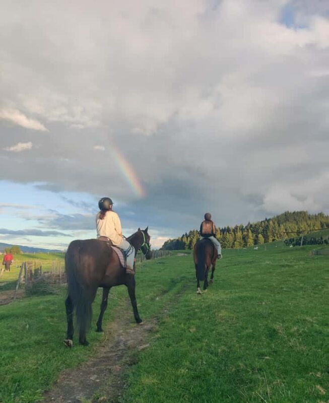 Rotorua: Scenic Horse Trek - Key Points