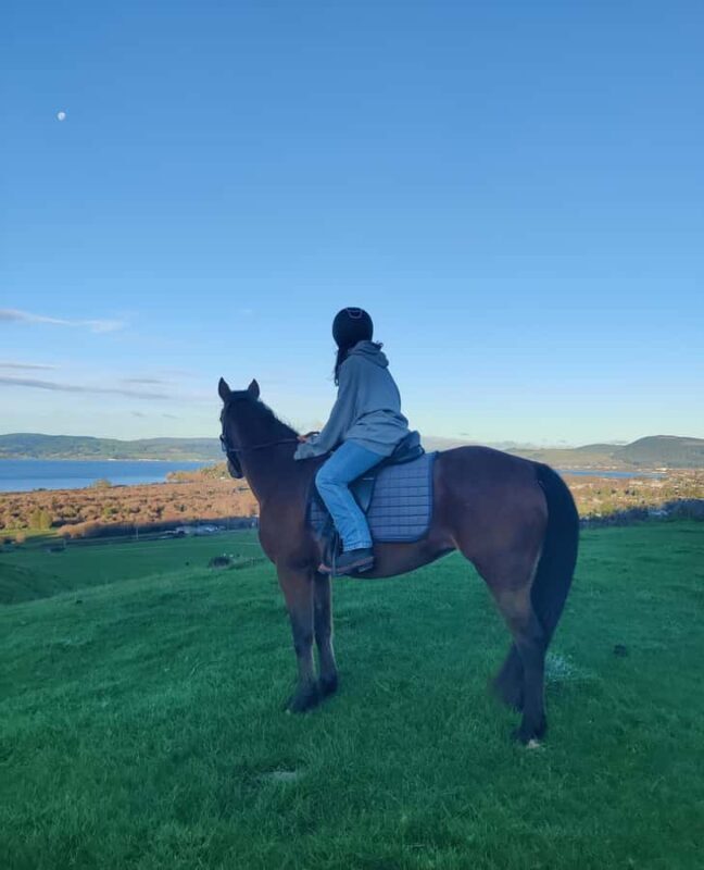 Rotorua: Scenic Horse Trek - An Authentic Ride Through Rotorua’s Countryside