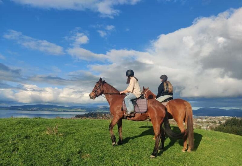 Rotorua: Scenic Horse Trek - Practical Details