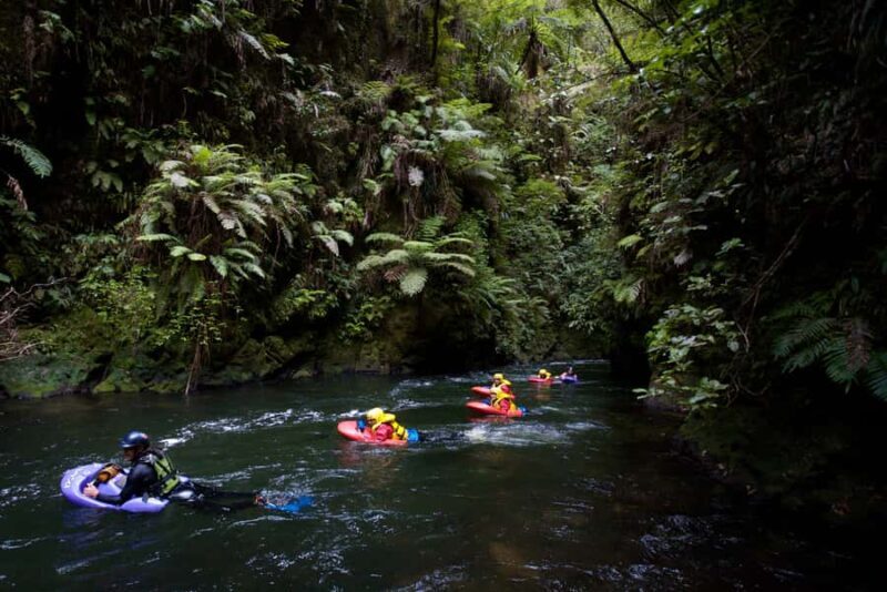 Rotorua Sledging: Kaituna White Water River Board Experience - What Is the Kaituna River Sledging Experience?