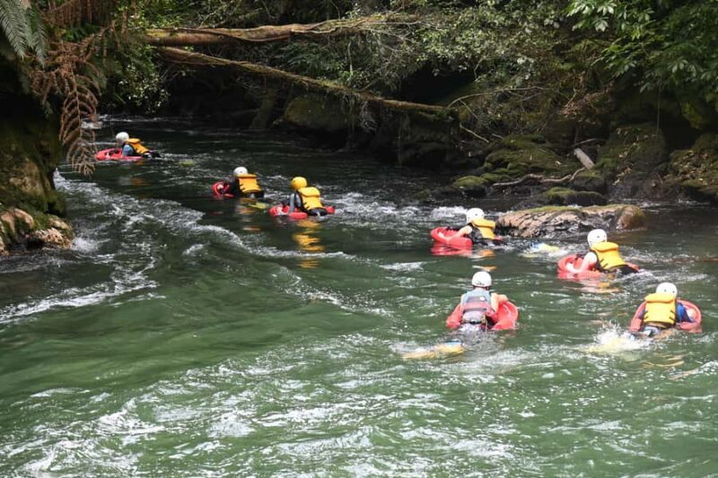 Rotorua Sledging: Kaituna White Water River Board Experience - The Value and Cost