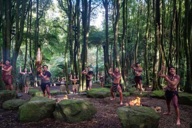 Rotorua: Te Pa Tu Mori Cultural Experience with Dinner - Key Points