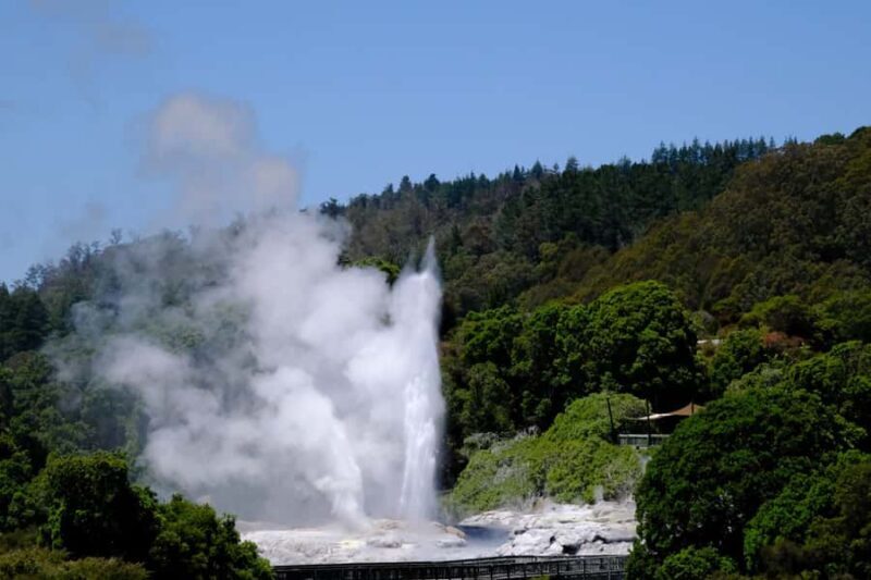 Rotorua: Te Puia Maori Village and Rejuvenation Tour - Pricing and Value: Is It Worth It?