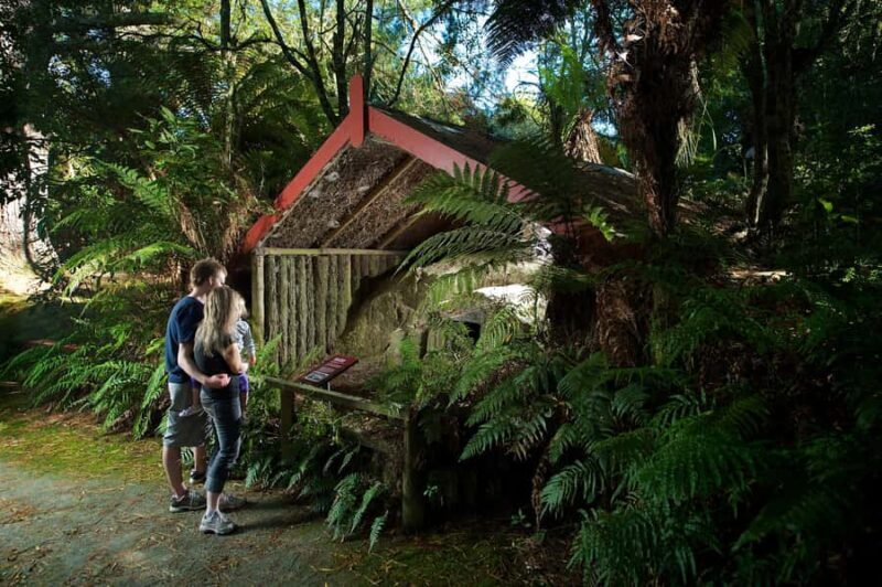 Rotorua: The Buried Village of Te Wairoa - Key Points