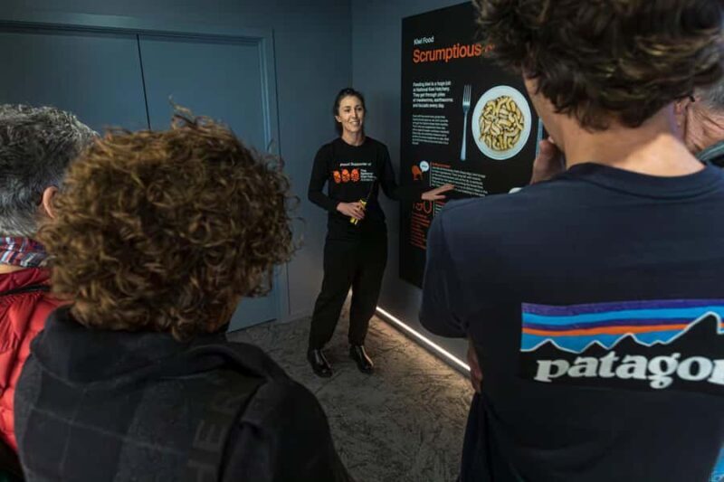 Rotorua: The National Kiwi Hatchery Kiwi Encounter Tour - Authentic Experiences and Review Highlights