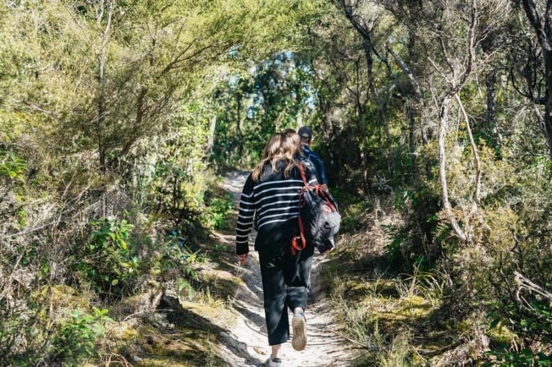 Rotorua: 'Thermal Path Tour' Geothermal half day Tour - Who Should Book This Tour?