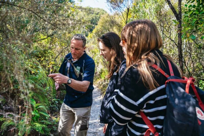 Rotorua: 'Thermal Path Tour' Geothermal half day Tour - Final Thoughts