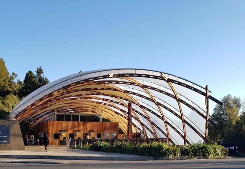 Rotorua to Auckland - Afternoon Transfer with Waitomo Caves - Key Points