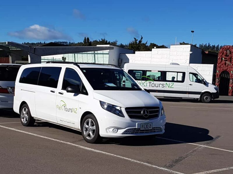 Rotorua to Auckland - Afternoon Transfer with Waitomo Caves - A Closer Look at the Experience
