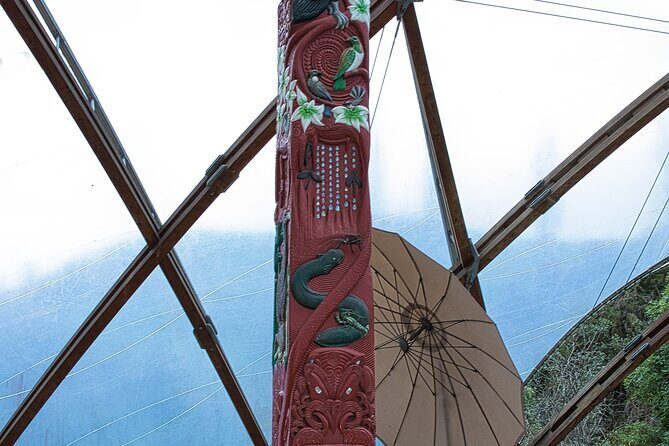 Rotorua to Auckland Afternoon Transfer with Waitomo Glow Worms - Who Is This Tour Best For?