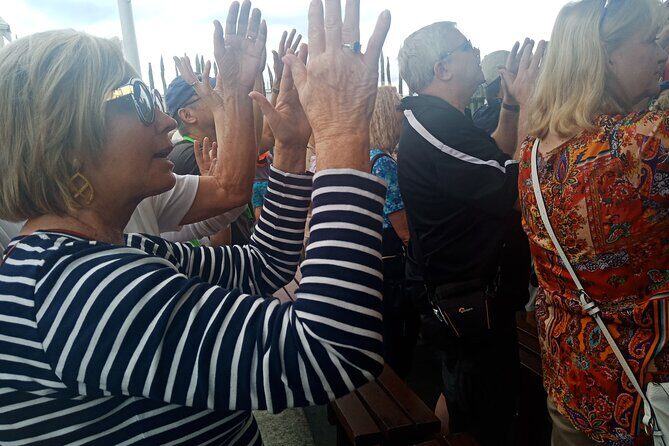 Rotorua via Kiwi/lakes country & a visit to iconic Whakarewarewa - Authentic Experiences and Practicalities