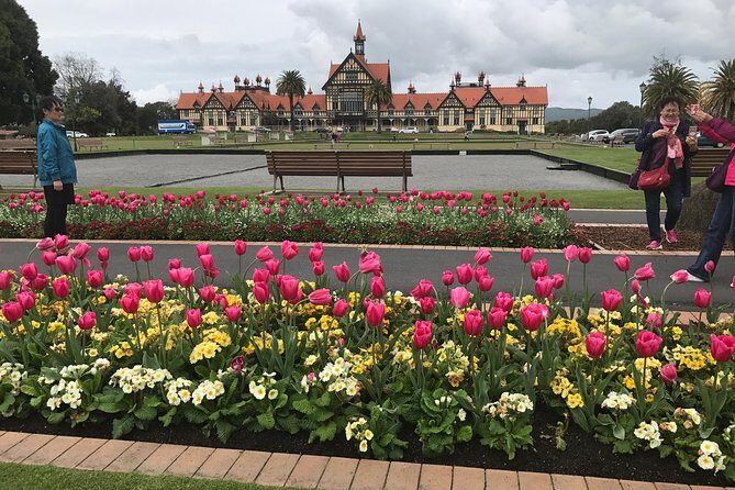 Rotorua via Kiwi/lakes country & a visit to iconic Whakarewarewa - Who Would Enjoy This Tour?