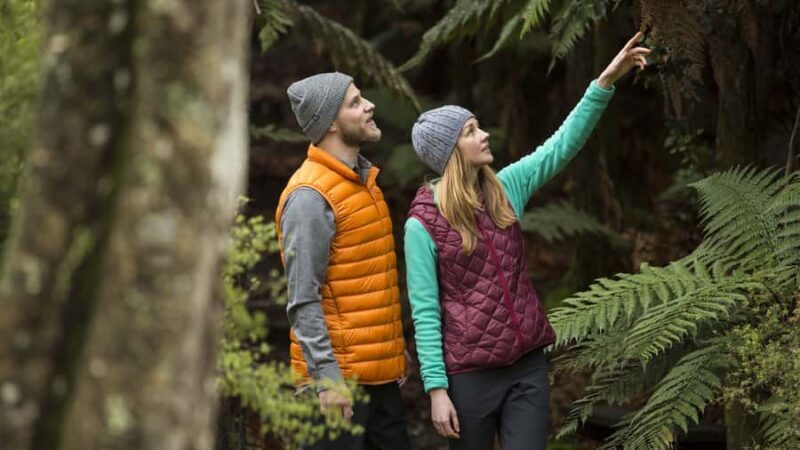 Rotorua: Waimangu Volcanic Valley Entry Ticket - Key Points