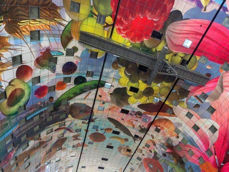 Rotterdam: Architecture Highlights Tour including the Depot - Practical Details and Value