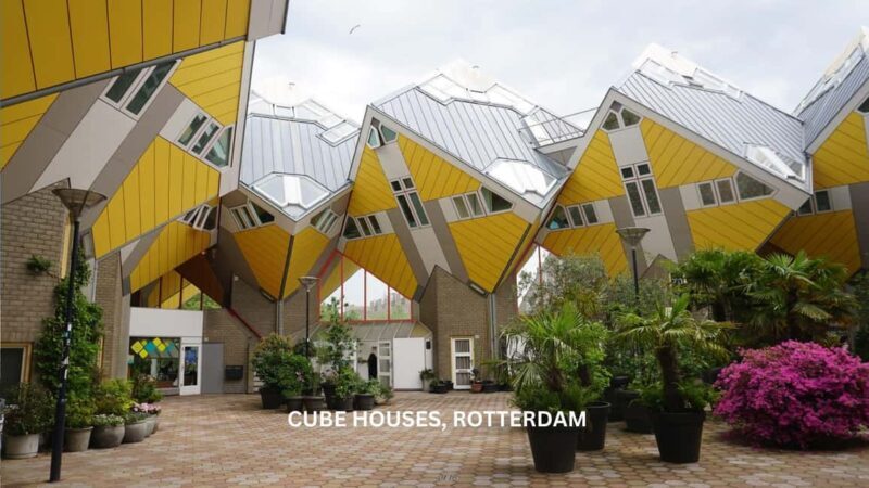 Rotterdam countryside on wheels - bike tour around city - Wildlife and Natural Encounters