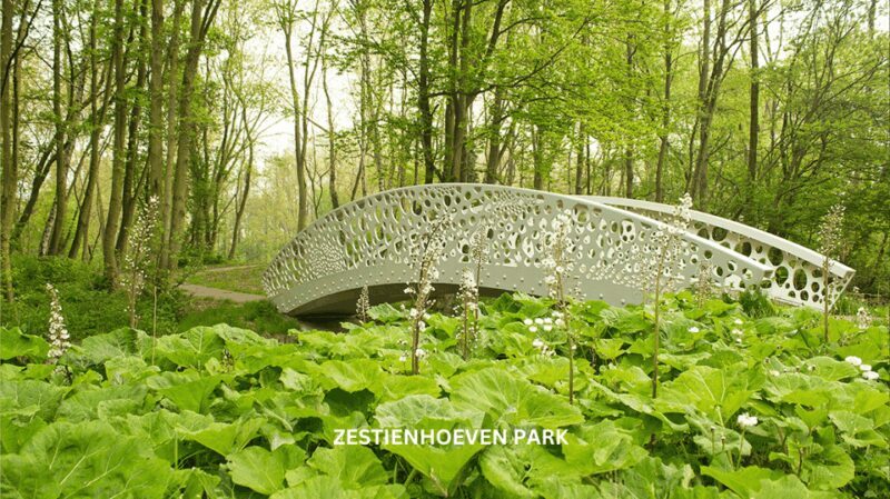 Rotterdam countryside on wheels - bike tour around city - Practical Details: What to Expect and What You Need