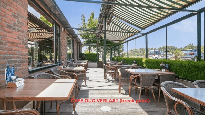 Rotterdam countryside on wheels - bike tour around city - Insights from Past Participants