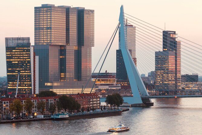 Rotterdam, Delft and The Hague Small Group Tour from Amsterdam - The Sum Up