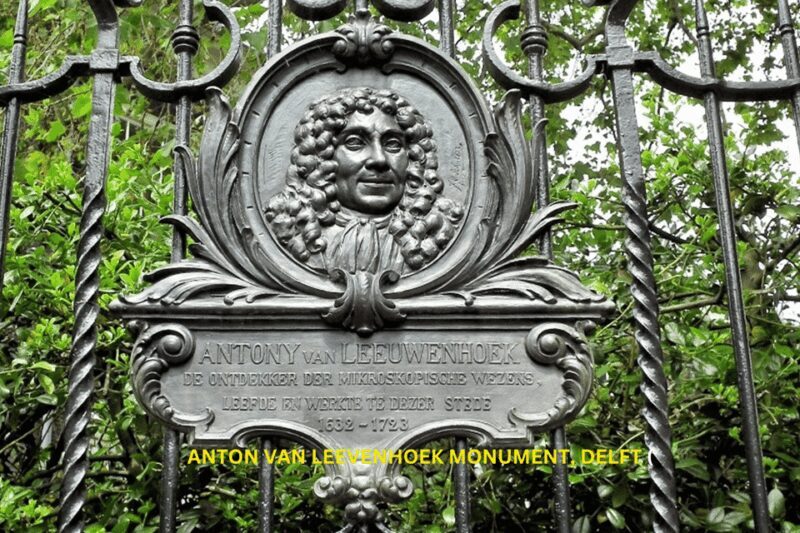 Rotterdam & Delft Daily Walking Tour - Authentic Insights from Reviews