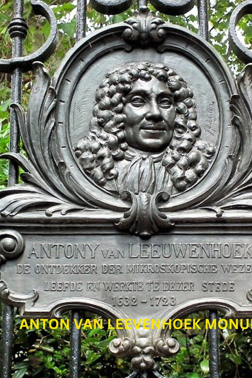 Rotterdam & Delft Daily Walking Tour - Who Will Enjoy This Tour?