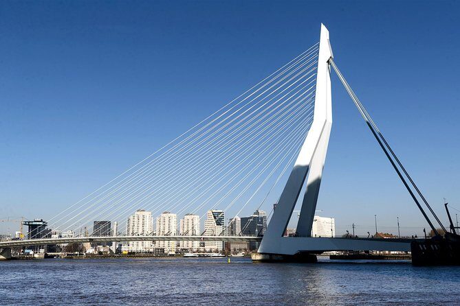 Rotterdam Grand South Holland Private Tour with The Hague & Delft - A Detailed Breakdown of the Rotterdam South Holland Private Tour