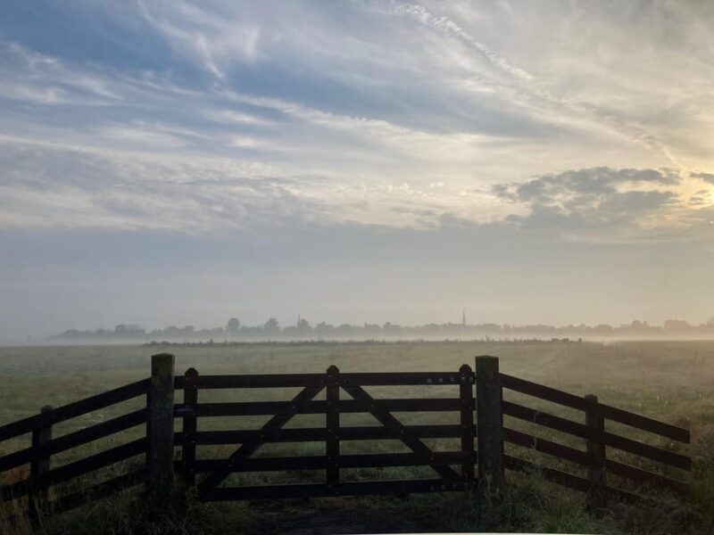 Rotterdam: green heart Midden-Delfland: Luxury Boat Tour - The Sum Up