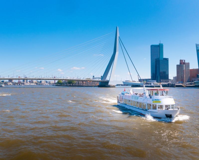 Rotterdam: Harbor Cruise with Live Guide - Who Will Love This Experience?