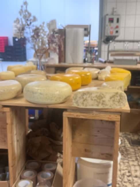 Rotterdam: Kinderdijk UNESCO Cheese Farm Experience - FAQ