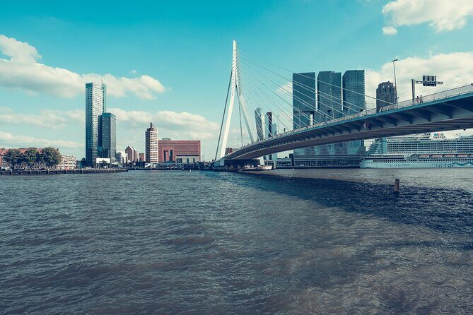 Rotterdam Like a Local: Customized Private Tour - Final Thoughts