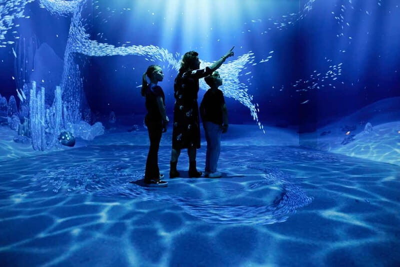 Rotterdam: "Remastered" Digital Art Audiovisual Experience - Location and Accessibility