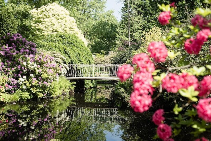 Rotterdam: Trompenburg Botanical Gardens Entry Ticket - Why This Garden Is Worth Visiting