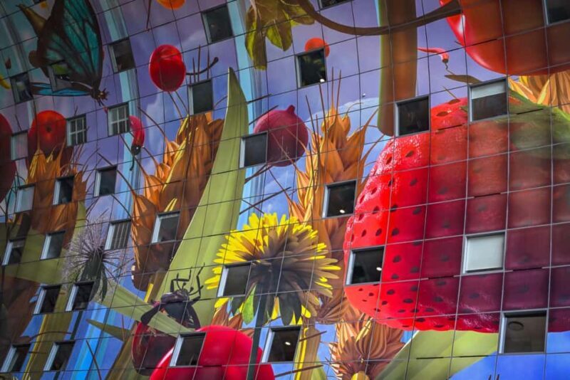 Rotterdam Walk: Highlights, Gems, Architecture & History WW2 - What to Expect During the Tour